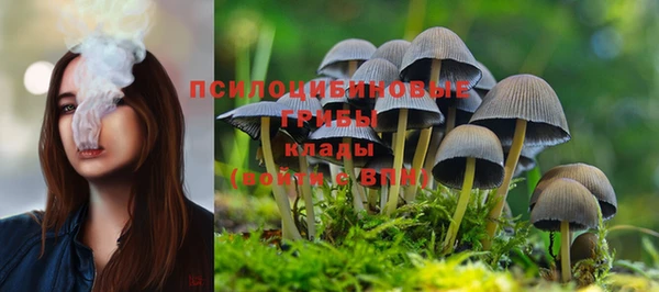 марки nbome Алзамай