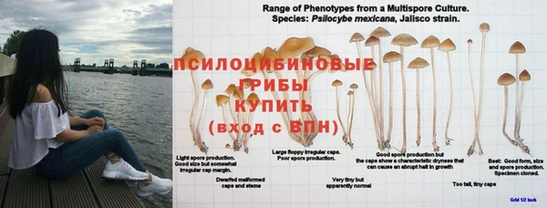 марки nbome Алзамай