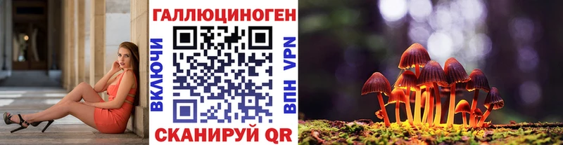 Галлюциногенные грибы Psilocybine cubensis  где продают   Мышкин 
